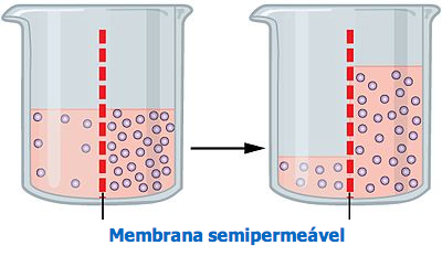 osmose