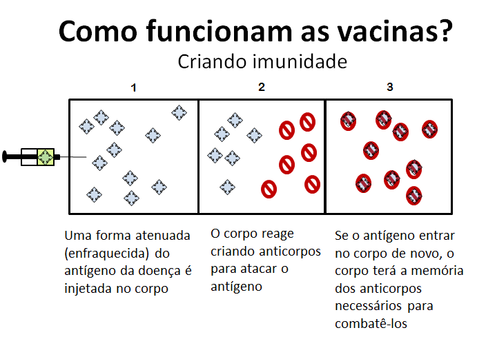 Resultado de imagem para como as vacinas funcionam