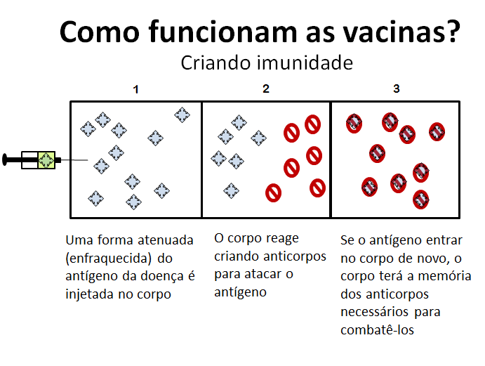 Como funcionam as vacinas?