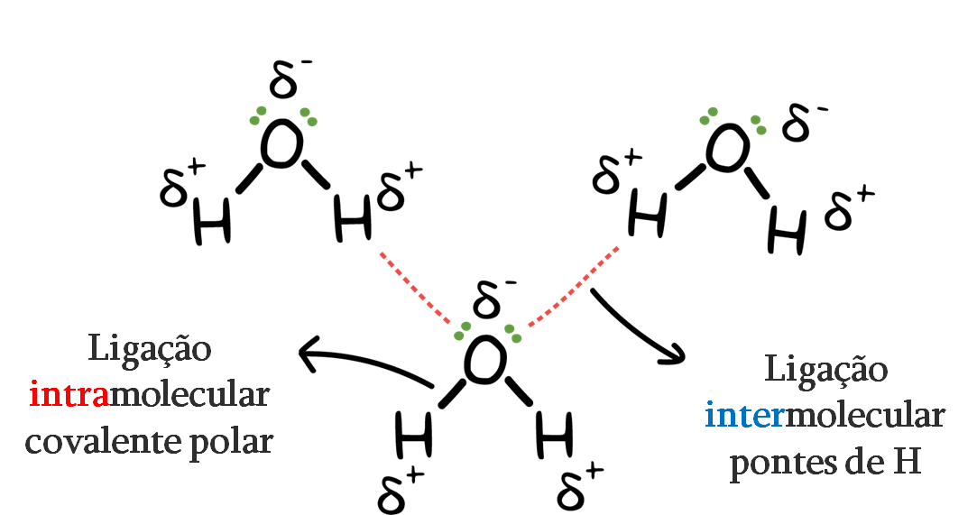Ligação intramolecular e intermolecular