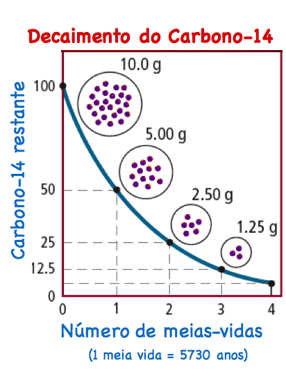 decaimento do carbono-14, número de meias-vidas